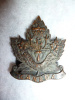 231st Battalion - 231B (Seaforth Highlanders) Collar Badge